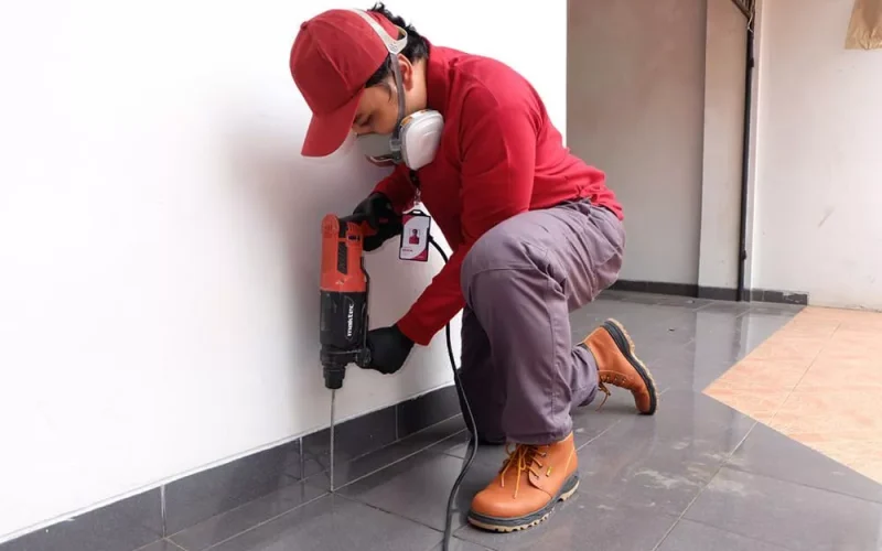 Tips Jitu Menjaga Rumah Bebas dari Serangan Rayap